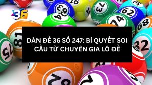 dan-de-36-so-247