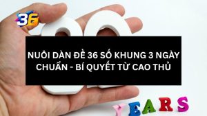 dan-de-36-so-khung-3-ngay-247-la-gi