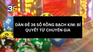 dan-de-36-so-rong-bach-kim-la-gi (1)